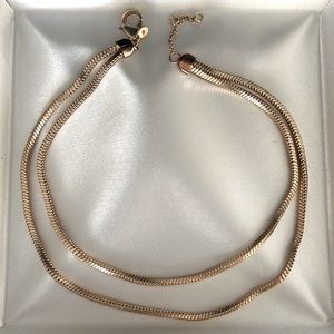 Express Gold Tone Double Chain Necklace